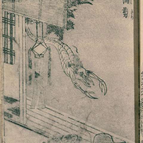 網剪の画像[1]サムネイル