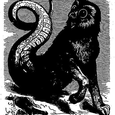 アモンの画像[1]サムネイル