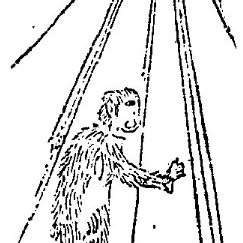 魃の画像[1]サムネイル