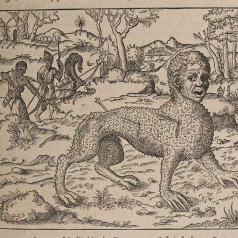 サナクスの画像[1]サムネイル