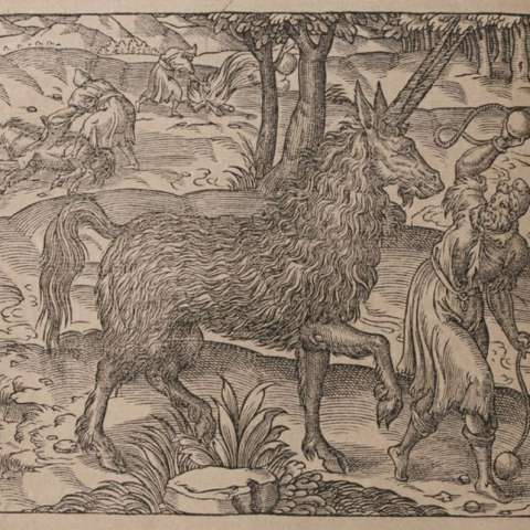 普遍宇宙誌の画像[4]サムネイル