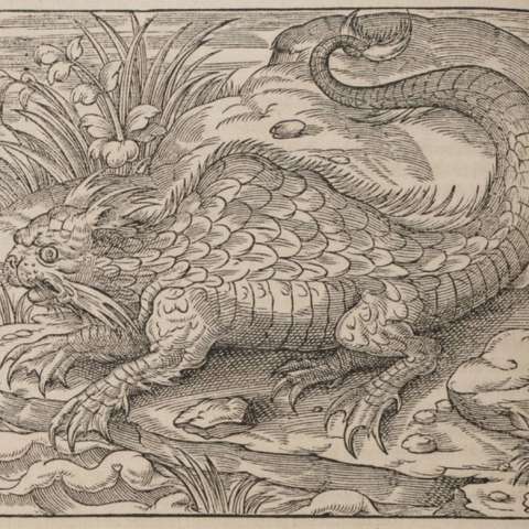 普遍宇宙誌の画像[5]サムネイル