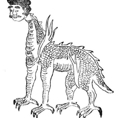 奎宿の画像[1]サムネイル