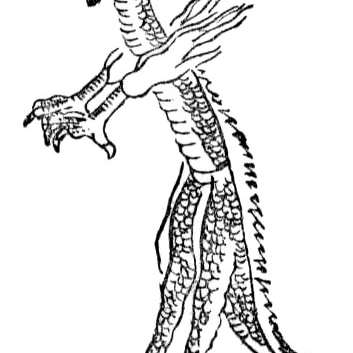 参宿の画像[1]サムネイル