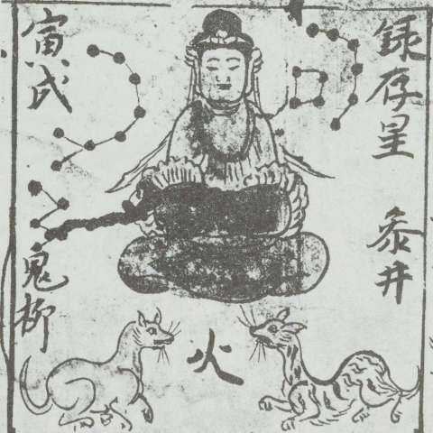 禄存星の画像[2]サムネイル