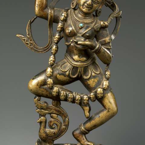 ヴァジュラヴァーラーヒーの画像[1]サムネイル