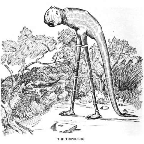 トリポデルーの画像[1]サムネイル