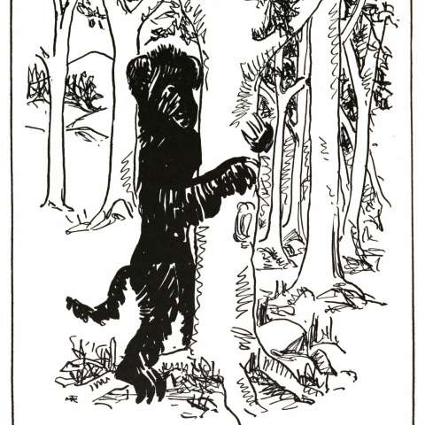 ハイドビハインドの画像[1]サムネイル