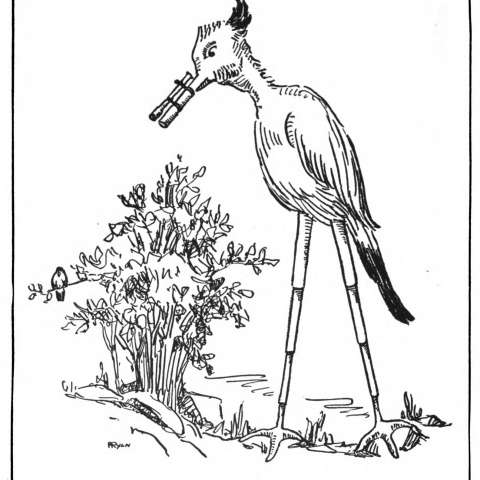 トリポデルーの画像[2]サムネイル