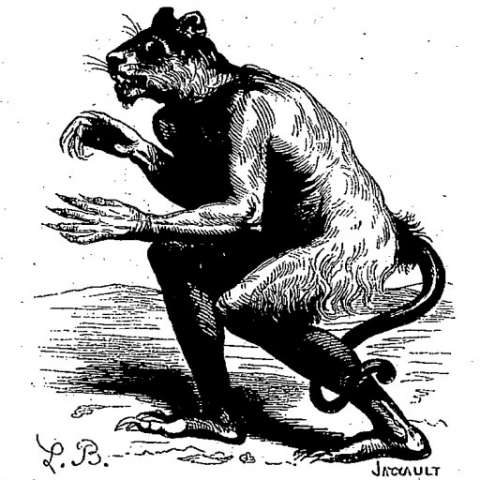 フラウロスの画像[1]サムネイル