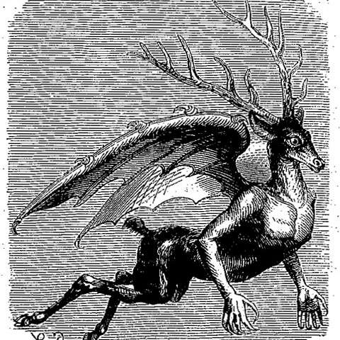 フールフールの画像[1]サムネイル