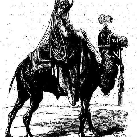 ゴモリーの画像[1]サムネイル