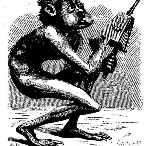 クザファンの画像[1]サムネイル