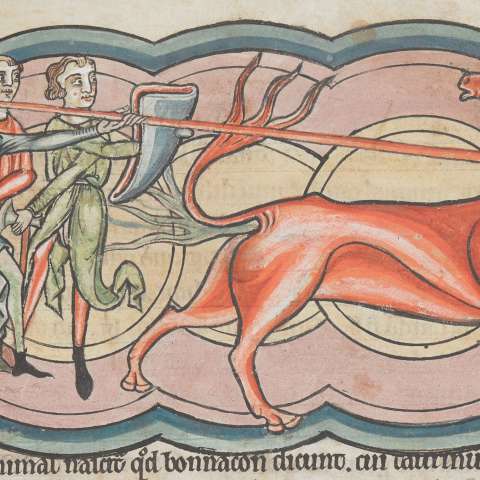 ボナコンの画像[2]サムネイル