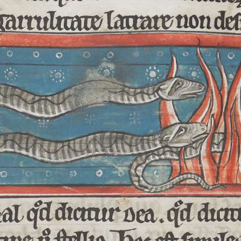 サラマンダーの画像[3]サムネイル