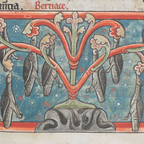 動物寓話集（ジェラルド・オブ・ウェールズのトポグラフィア・ヒベルニカからの追加を含む）の画像[6]サムネイル