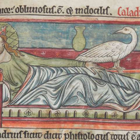 動物寓話集（ジェラルド・オブ・ウェールズのトポグラフィア・ヒベルニカからの追加を含む）の画像[7]サムネイル