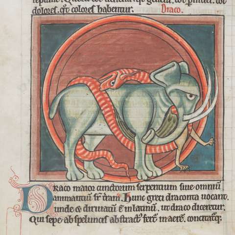 動物寓話集（ジェラルド・オブ・ウェールズのトポグラフィア・ヒベルニカからの追加を含む）の画像[10]サムネイル