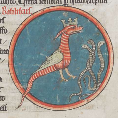 動物寓話集（ジェラルド・オブ・ウェールズのトポグラフィア・ヒベルニカからの追加を含む）の画像[11]サムネイル