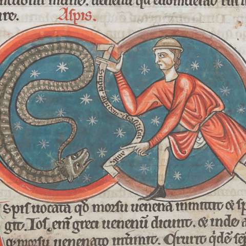 アスピスの画像[2]サムネイル