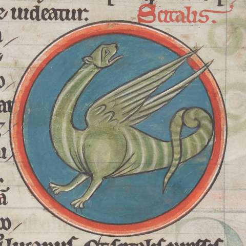 スキタリスの画像[1]サムネイル