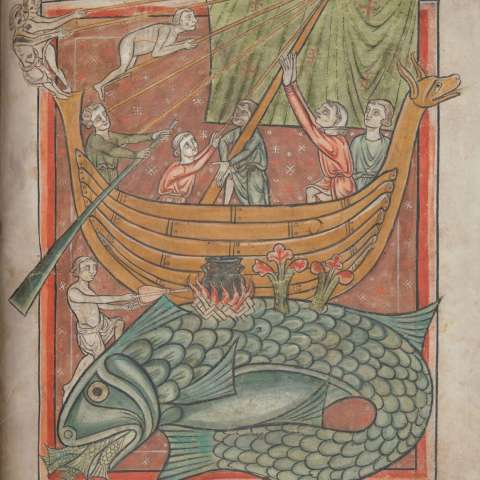 アスピドケロンの画像[1]サムネイル