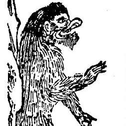 狒狒の画像[2]サムネイル