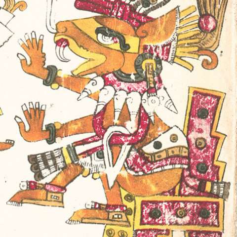 ウエウエコヨトルの画像[1]サムネイル