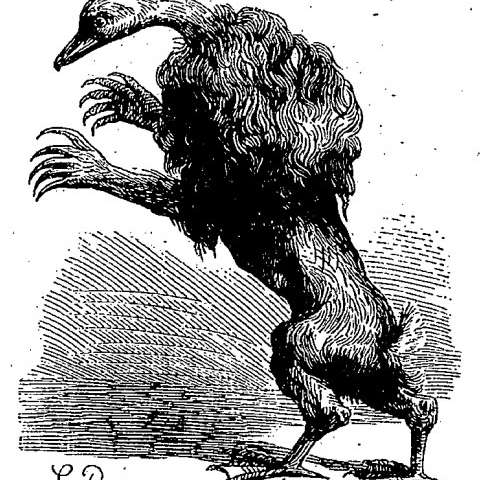 イポスの画像[1]サムネイル