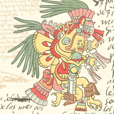 イツパパロトルの画像[1]サムネイル