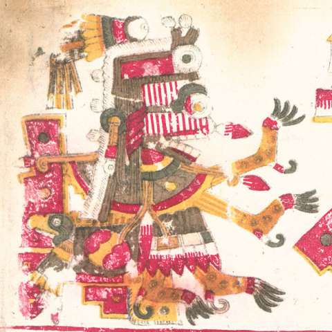 イツパパロトルの画像[2]サムネイル