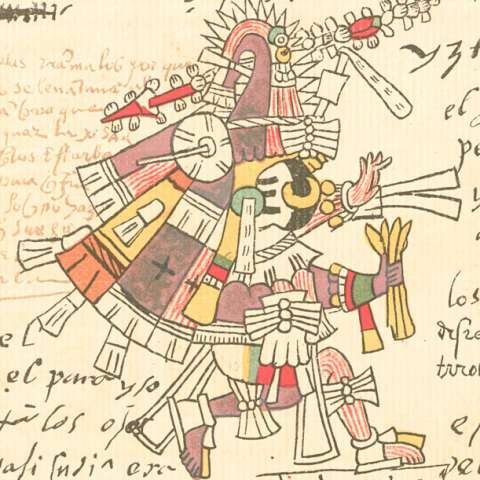 イツトラコリウキの画像[1]サムネイル