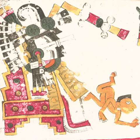 イツトラコリウキの画像[2]サムネイル