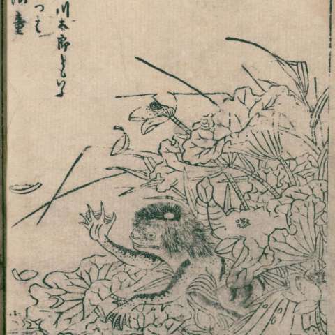 河童の画像[2]サムネイル