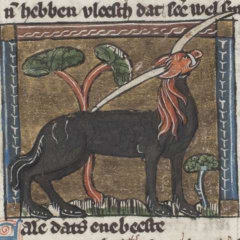 エアレーの画像[1]サムネイル