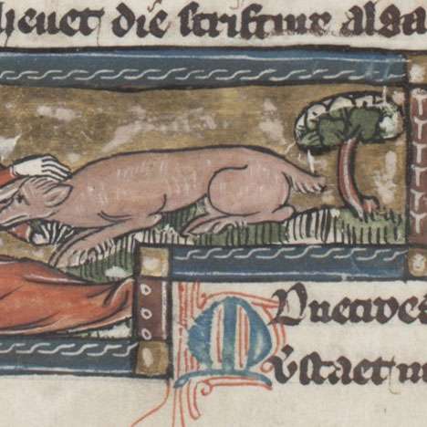 ユニコーンの画像[2]サムネイル