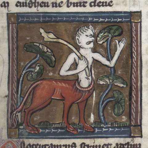 オノケンタウロスの画像[1]サムネイル