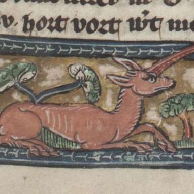 モノケロスの画像[1]サムネイル