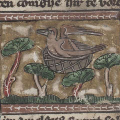 自然の魅力の画像[8]サムネイル