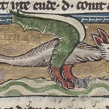 ドラコの画像[1]サムネイル