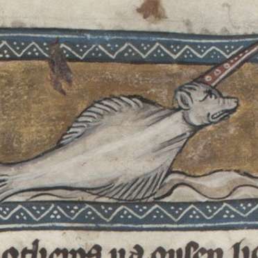 モノケロスの画像[1]サムネイル