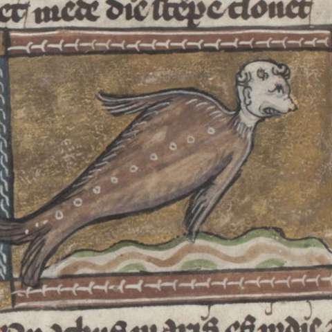 シービショップの画像[3]サムネイル