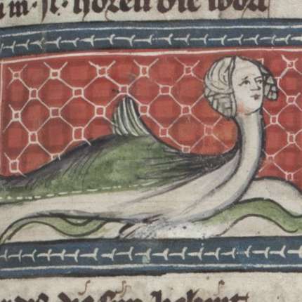 自然の魅力の画像[14]サムネイル