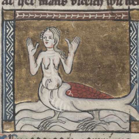 自然の魅力の画像[15]サムネイル