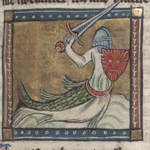 自然の魅力の画像[16]サムネイル