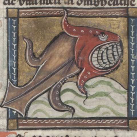 ジフィウスの画像[1]サムネイル