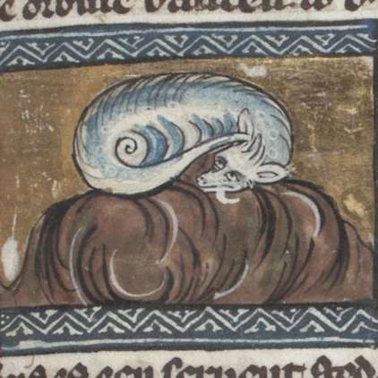 アスピスの画像[1]サムネイル