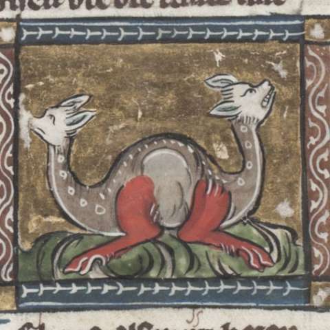 アンフィスバエナの画像[1]サムネイル