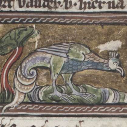 バシリスクの画像[3]サムネイル