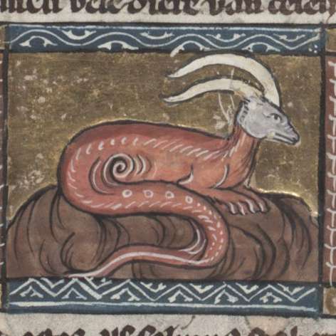 自然の魅力の画像[22]サムネイル